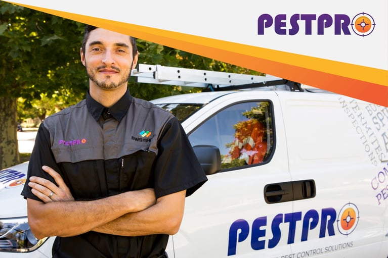 The Importance of Pest Control